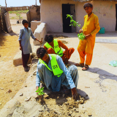 Tree Plantation Campaign