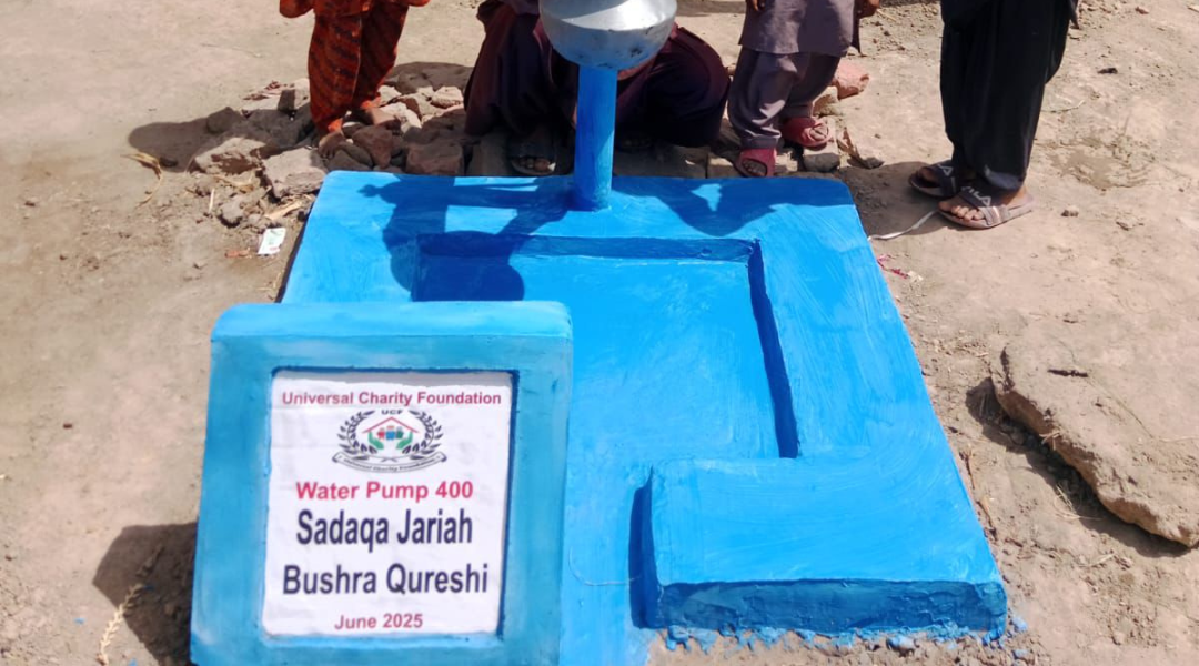 Making a Lasting Impact Through Giving